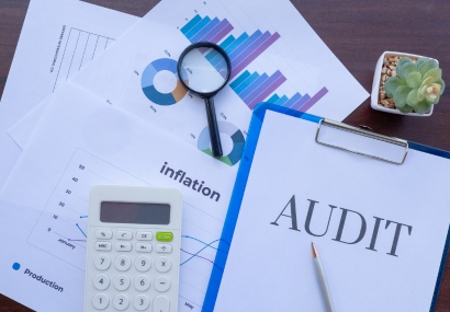 Performance Marketing Audit